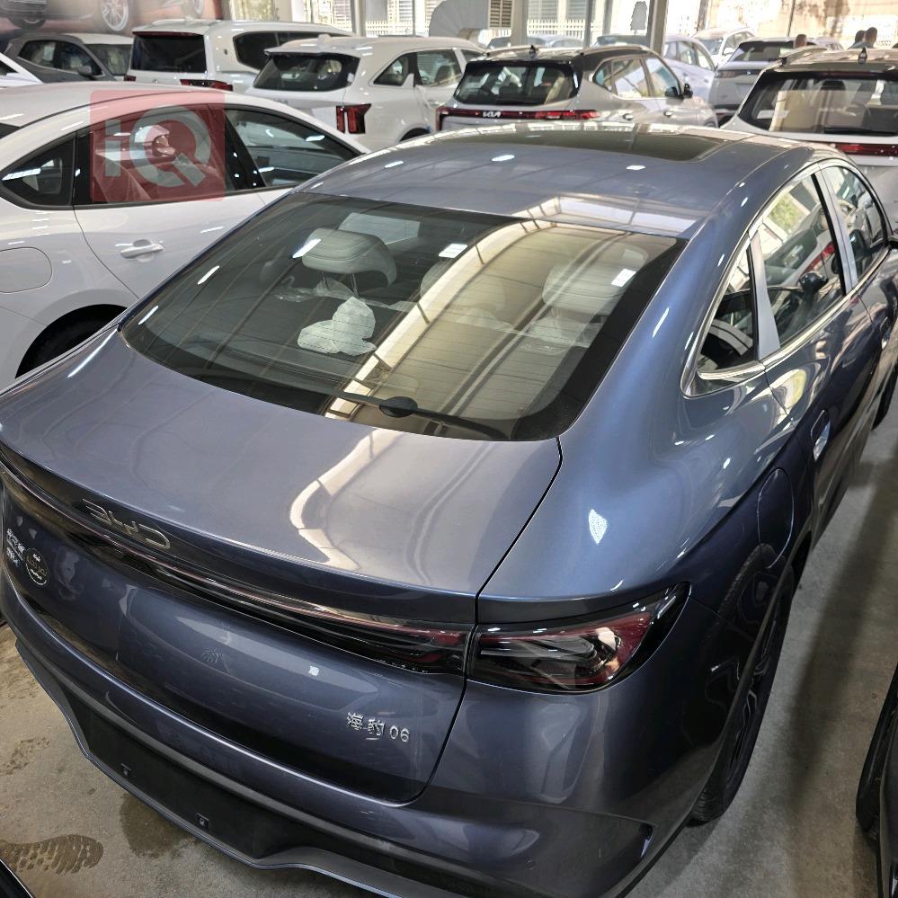 بي واي دي سيل 06 DM-i